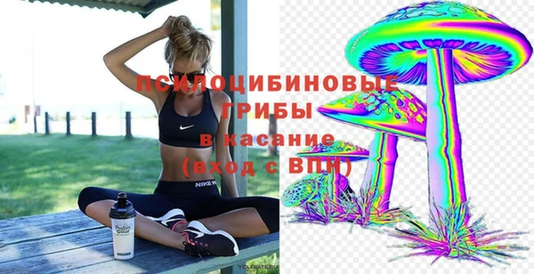 крисы Вяземский