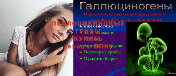 крисы Вяземский