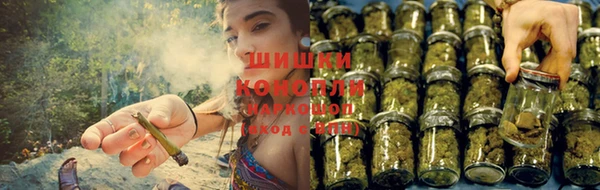 прущая мука Горняк