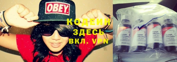 крисы Вяземский