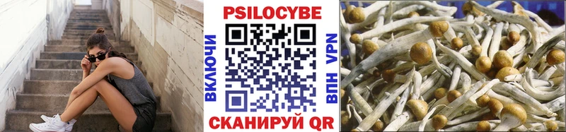 Купить  Лангепас  Галлюциногенные грибы мицелий 